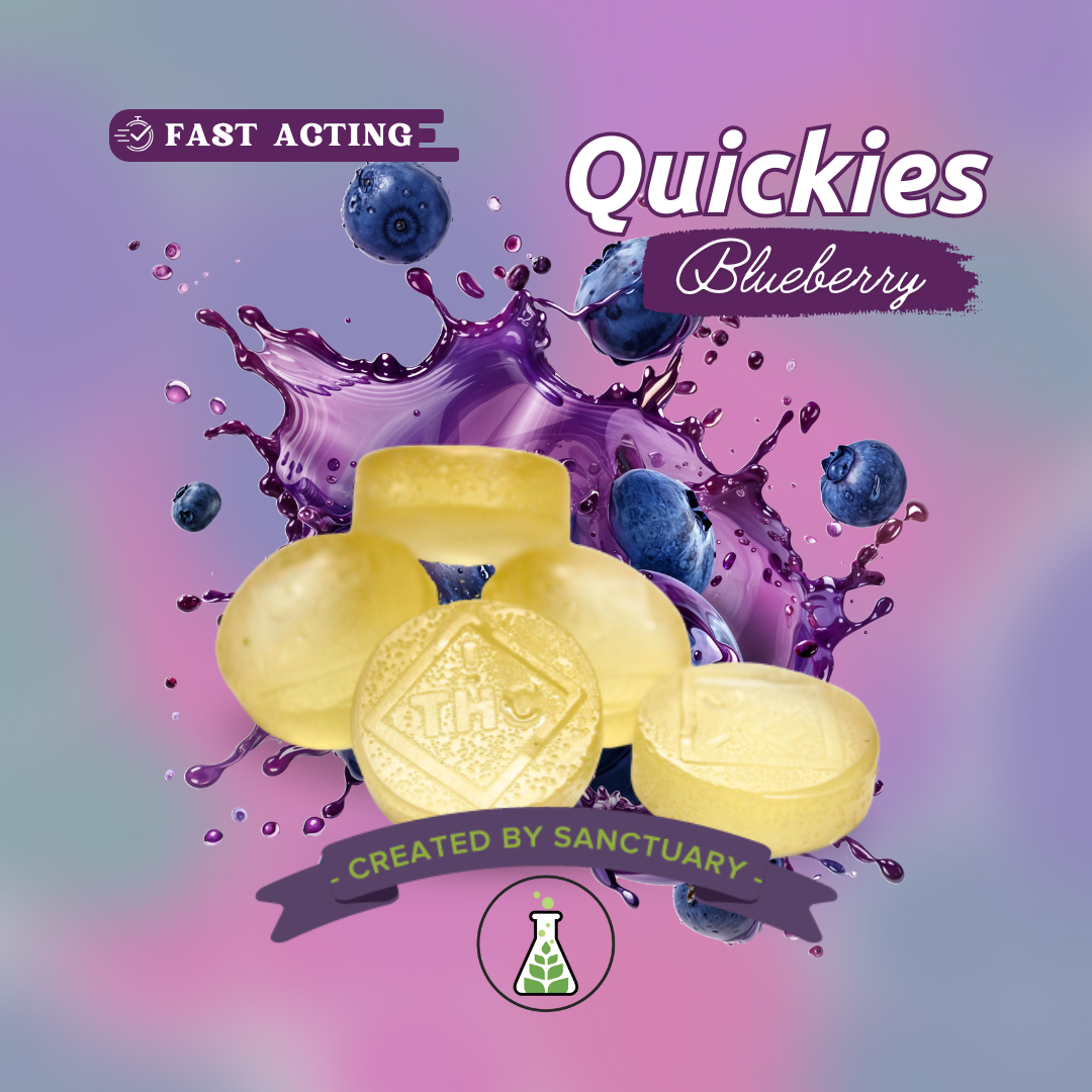 Photograph of product: Quickies Full Spectrum Blueberry Soft Chew 60mg 6pk