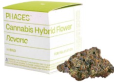 Photograph of product: Muse [H] - Flower - 3.5g