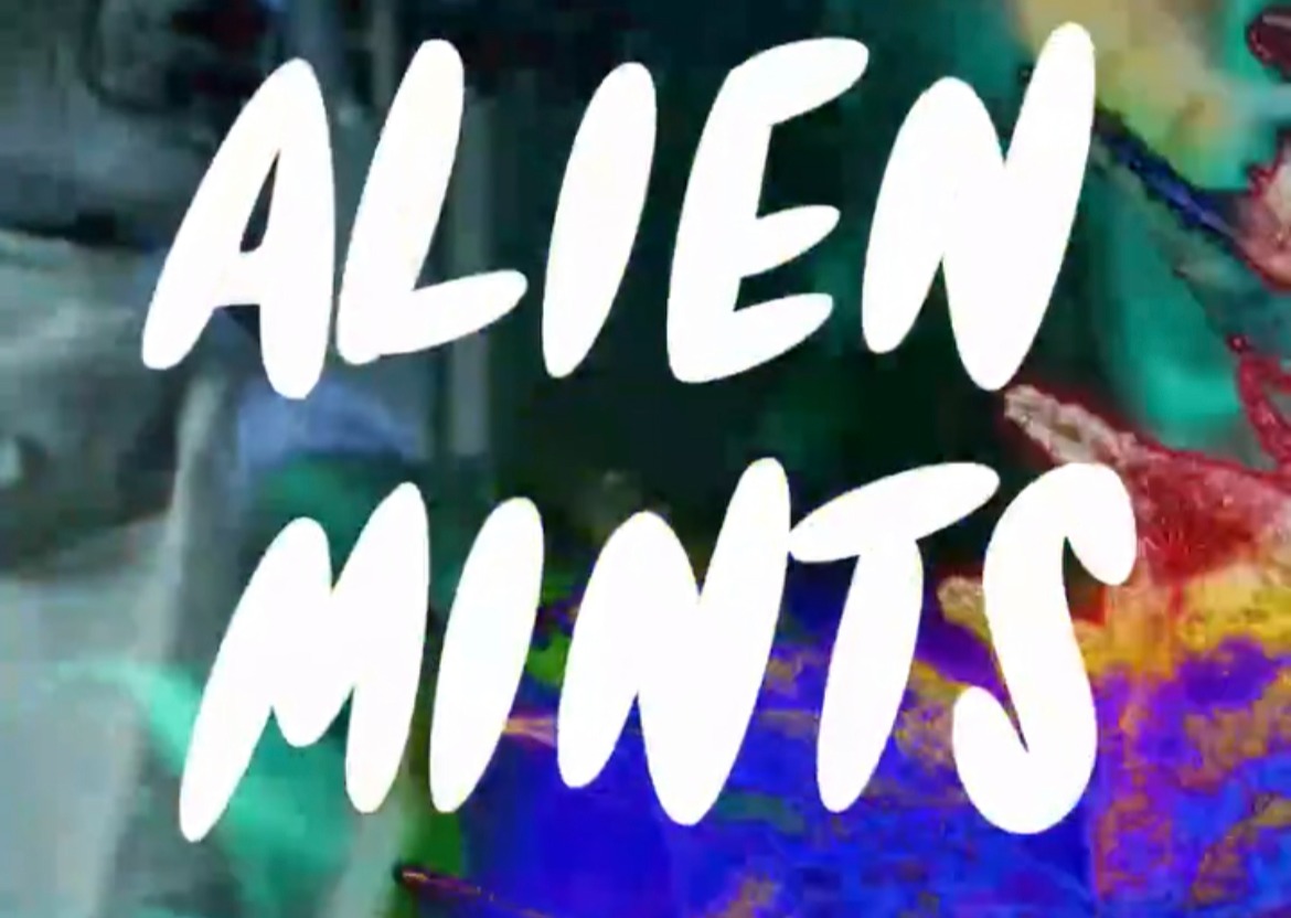 Photograph of product: Alien Mints Flower | 14g | Strane Stash