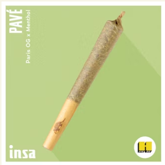 Photograph of product: Pave INSA