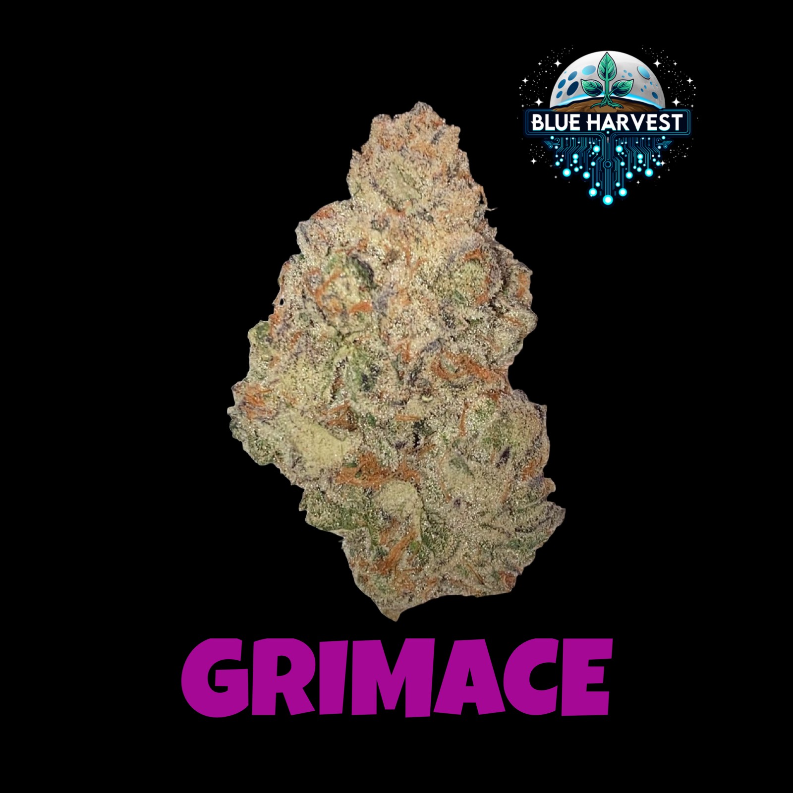 Photograph of product: Grimace 3.5g-H