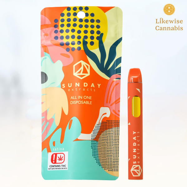 Photograph of product: BLUEBERRY DREAM 2G ALL IN ONE DISPOSABLE