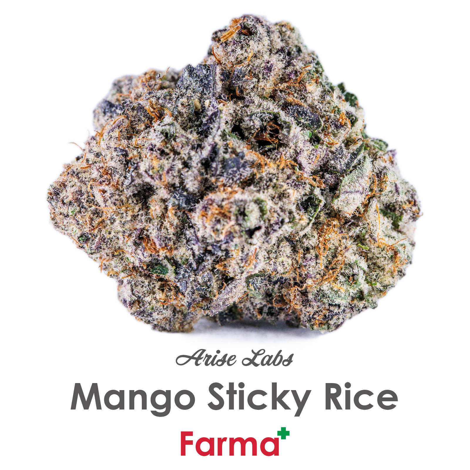 Photograph of product: Arise Labs Mango Sticky Rice - 14g