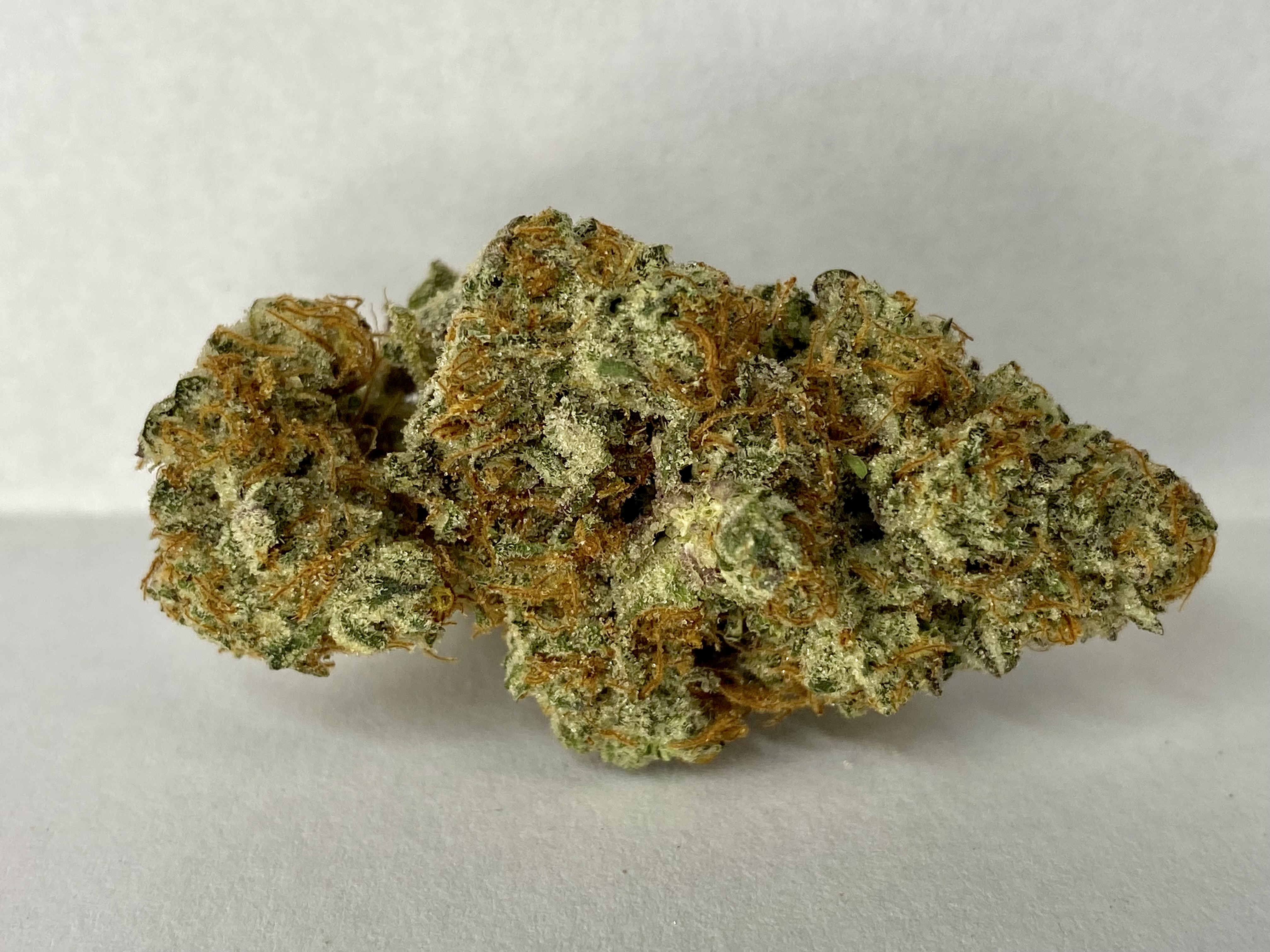 Photograph of Product: DonnyBurger#5-Flower-|Indica-Dominant|HRBD - 3.5g