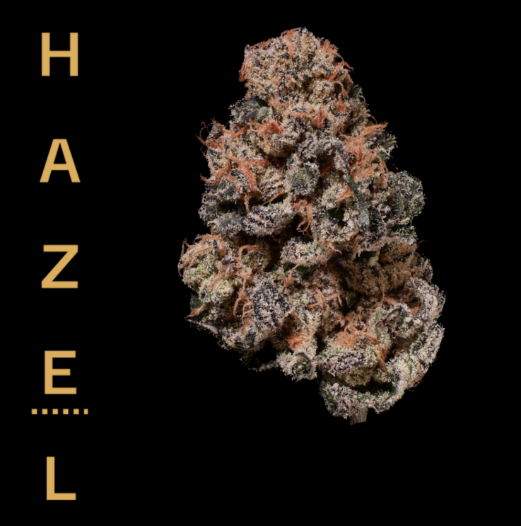 Photograph of product: GRAPE GAS - 3.5 G
