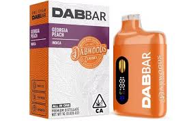 Photograph of product: Dabwoods | Georgia Peach All-In-One | 1g
