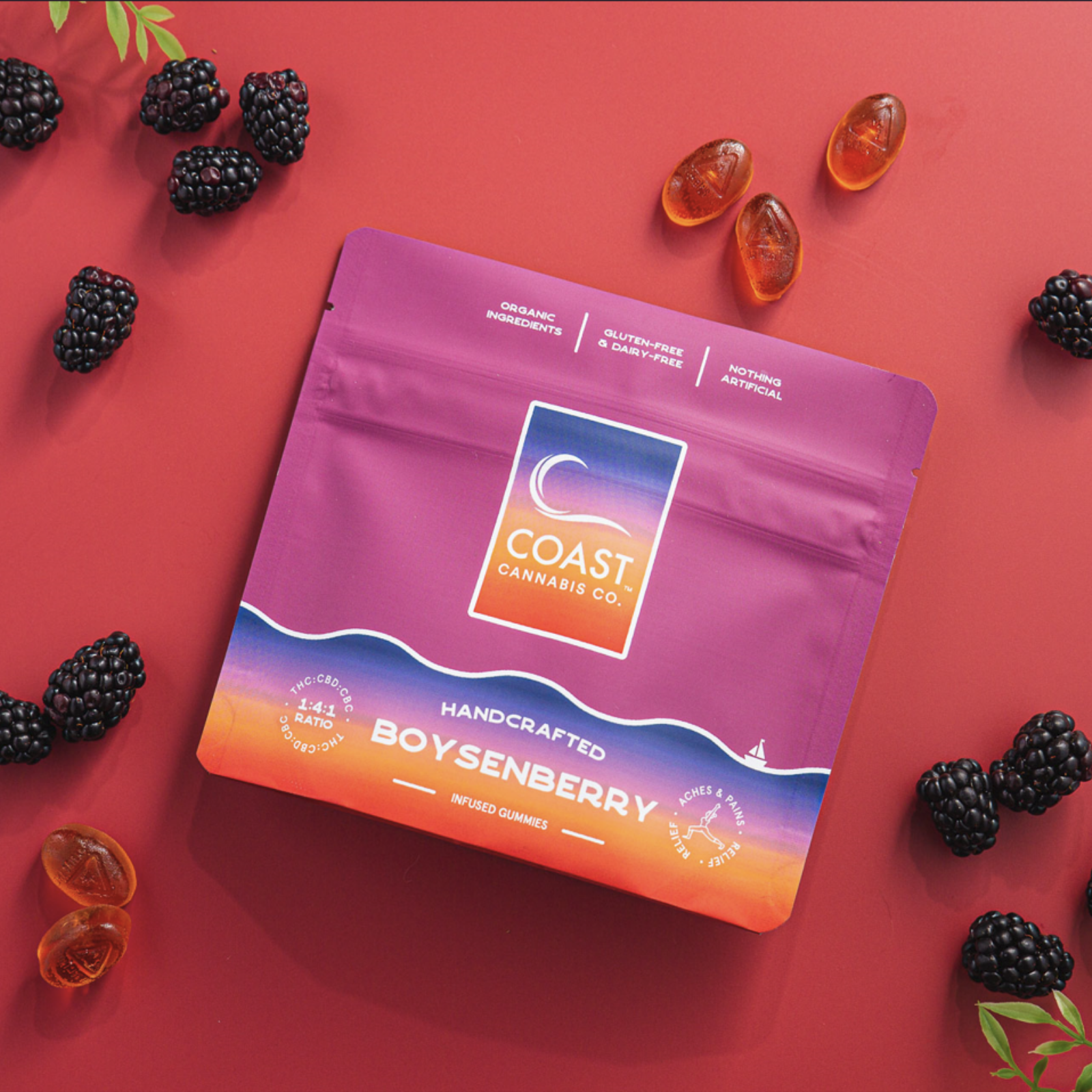 Photograph of Product: 100mg Gummies | 1:4:1 CBD Boysenberry | Coast Cannabis