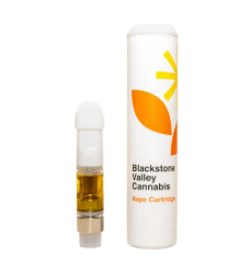 Photograph of product: Northern Lights | Distillate Cartridge | 1g