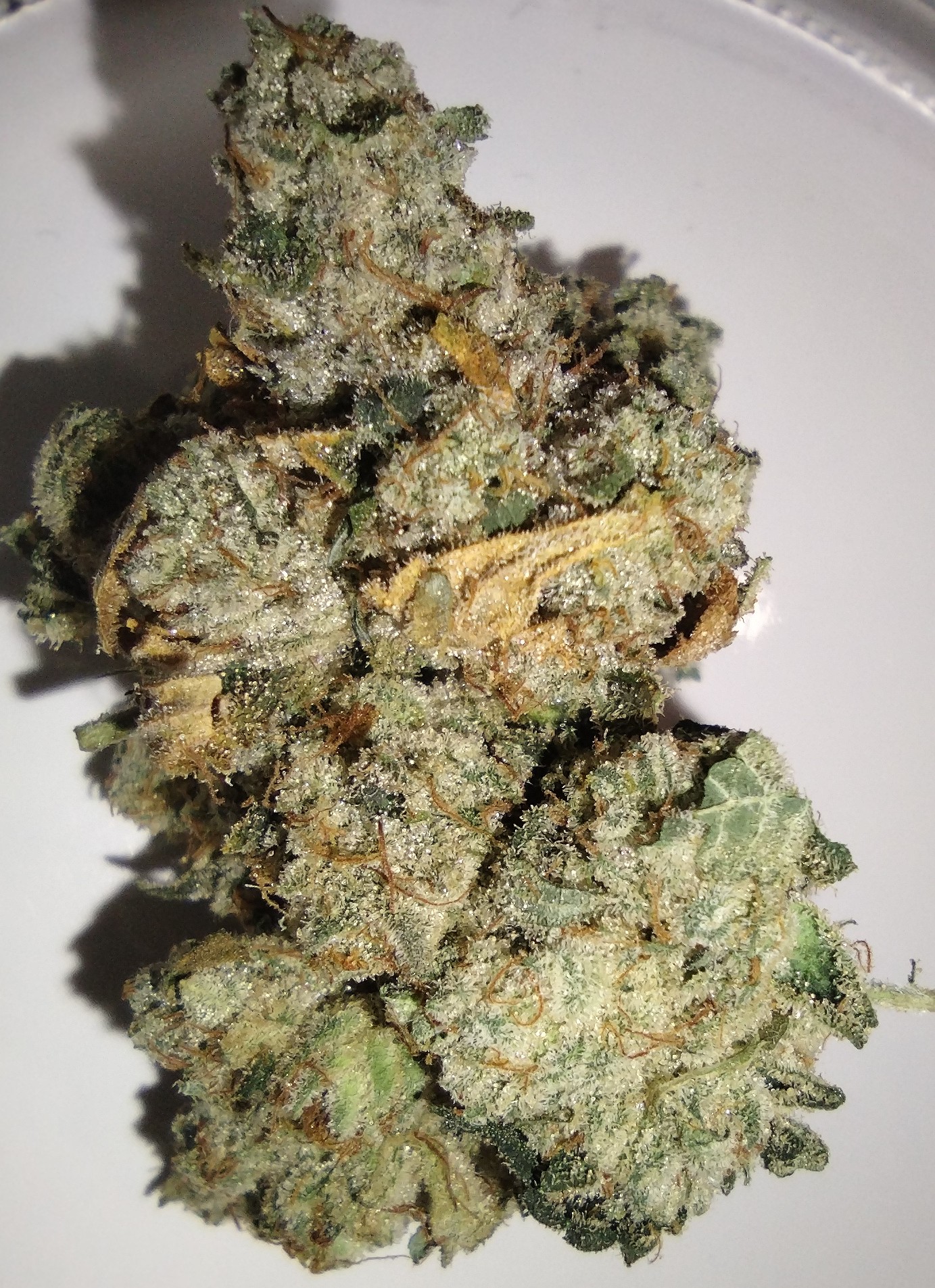 Photograph of product: Pure Bliss Farms - Gorilla Glue #4 - 3.5g - Flower