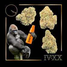 Photograph of product: GG4 Flower | 28g - Four20