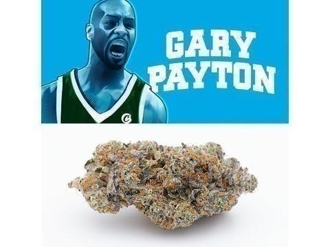 Photograph of product: GARY PAYTON - COOKIES - FLOWER TUB - 3.5g