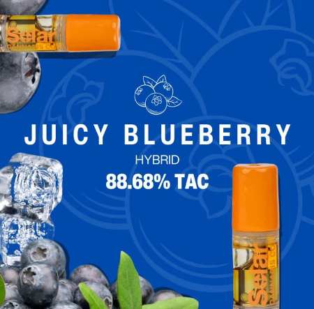 Photograph of product: Juicy Blueberry Cart | 1g