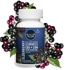 Photograph of product: 250mg Elderberry CBD:CBN Gummies 10 Pack