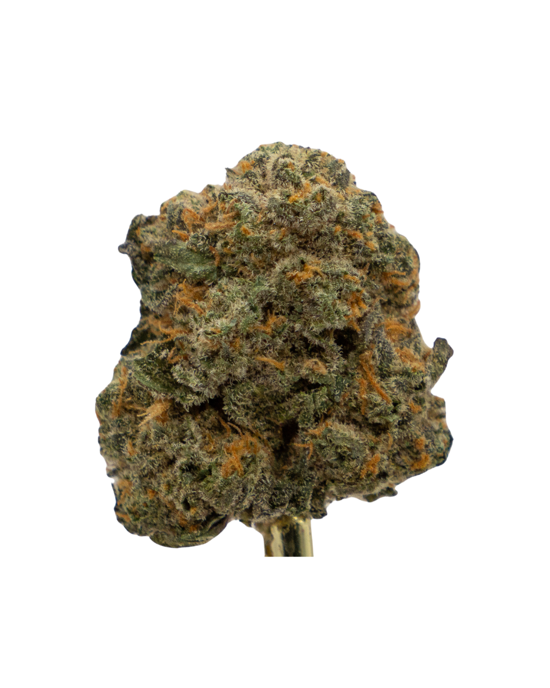 Photograph of product: CLX 0.5oz - BKLVA - 14g