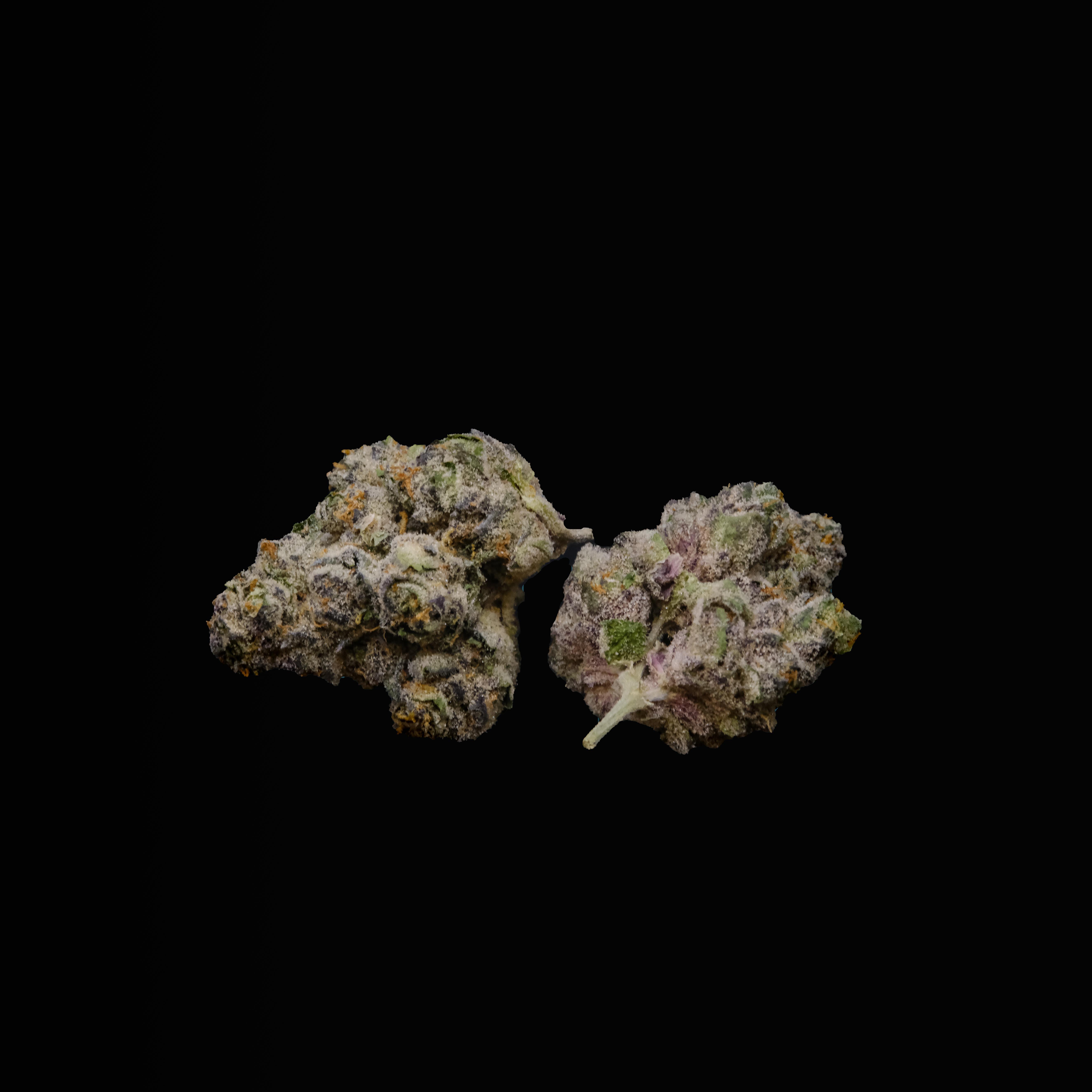 Photograph of product: White Hot Guava Whole Flower T24.52 (3-00713) - 3.5g