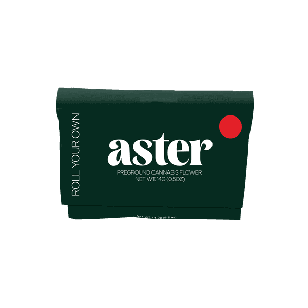 Photograph of product: Aster | Watermelon Freeze | Ground Flower | Hybrid - 14g