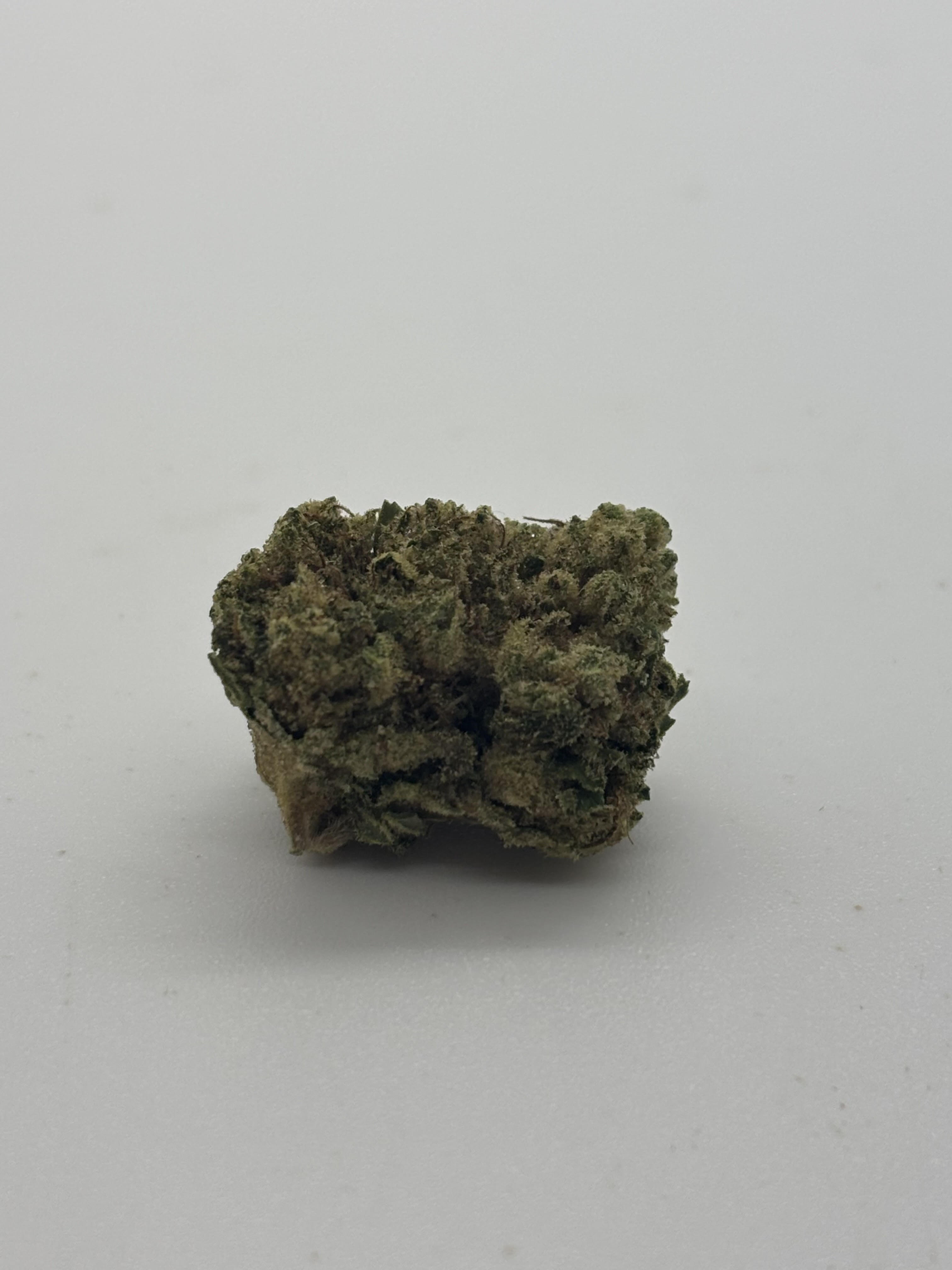 Photograph of product: Grasshopper Glue *I* - 3.5g