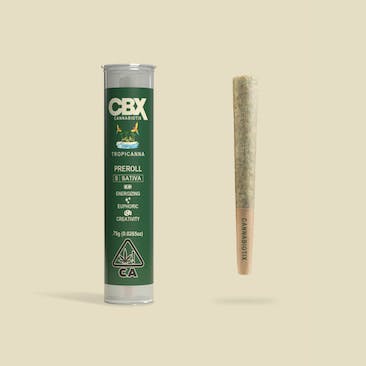 Photograph of product: Tropicanna | .75g Pre-roll - 