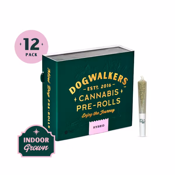 Photograph of product: Dogwalkers | Creamsicle Sunset | Hybrid | 12 Pack Pre-Roll | 4.2g