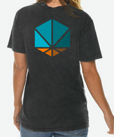 Photograph of product: Washed Grey Logo T Shirt- X Large