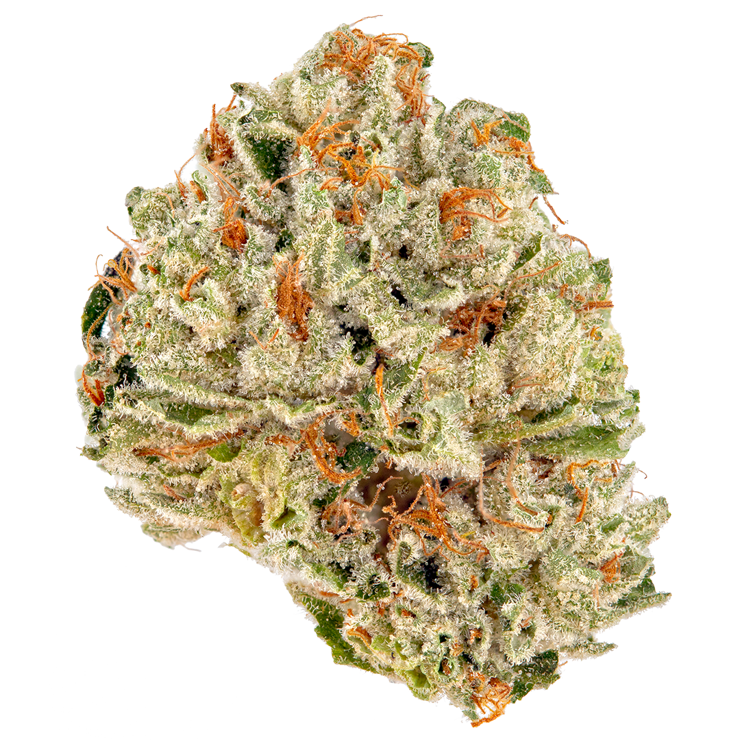 Photograph of product: 818 Headband (Garden First)