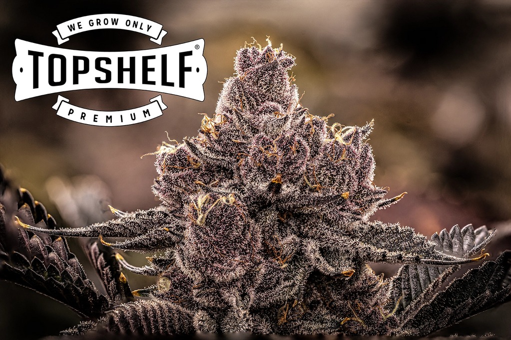 Photograph of product: Tropicana Cherry - 28g