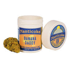 Photograph of product: Nanticoke | Banana Daddy (IH) | Flower | 3.5g