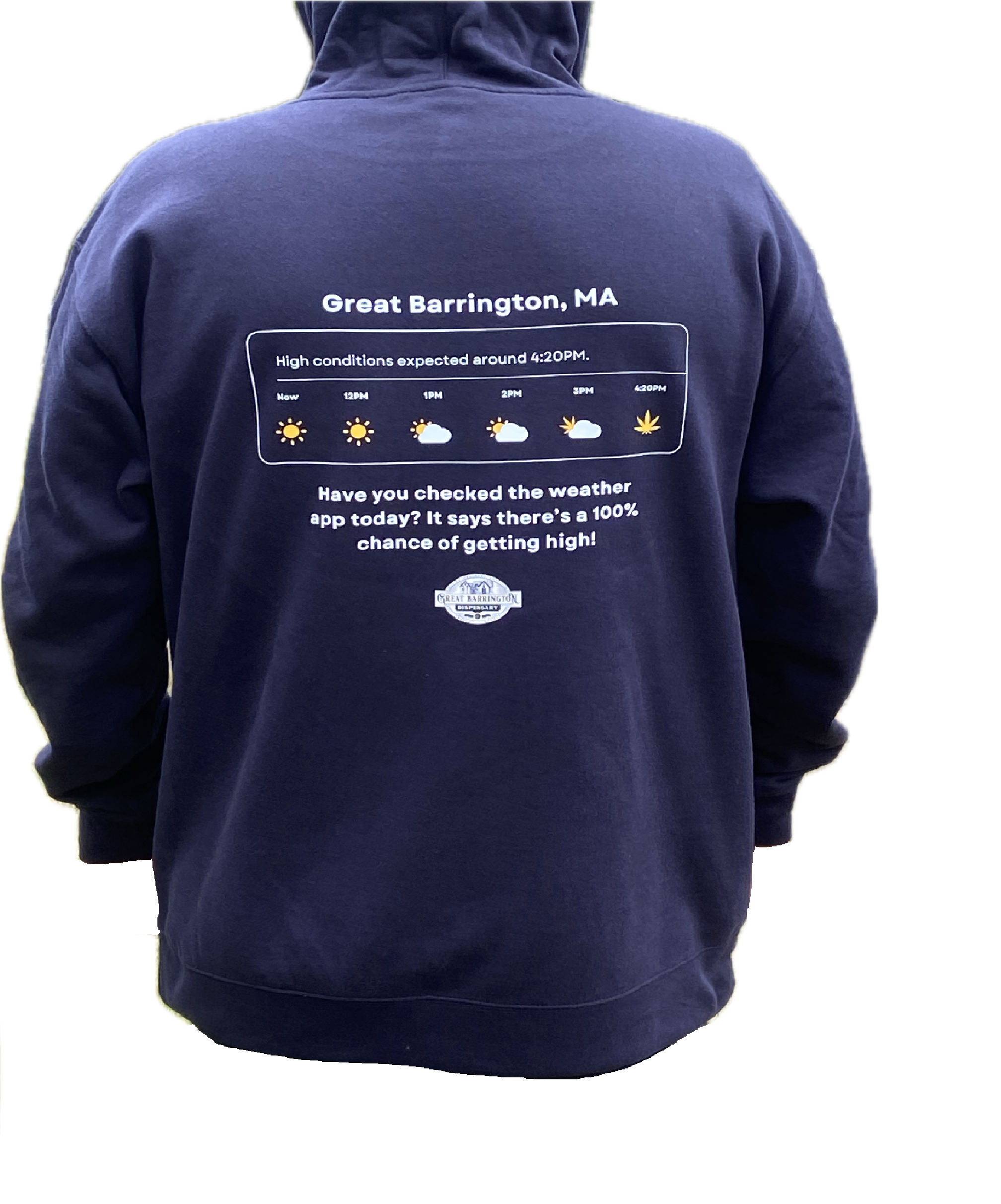 Photograph of product: 100% Chance of Getting High Hoodie - XL