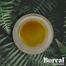 Photograph of product: Boreal | Bubba | Live Badder