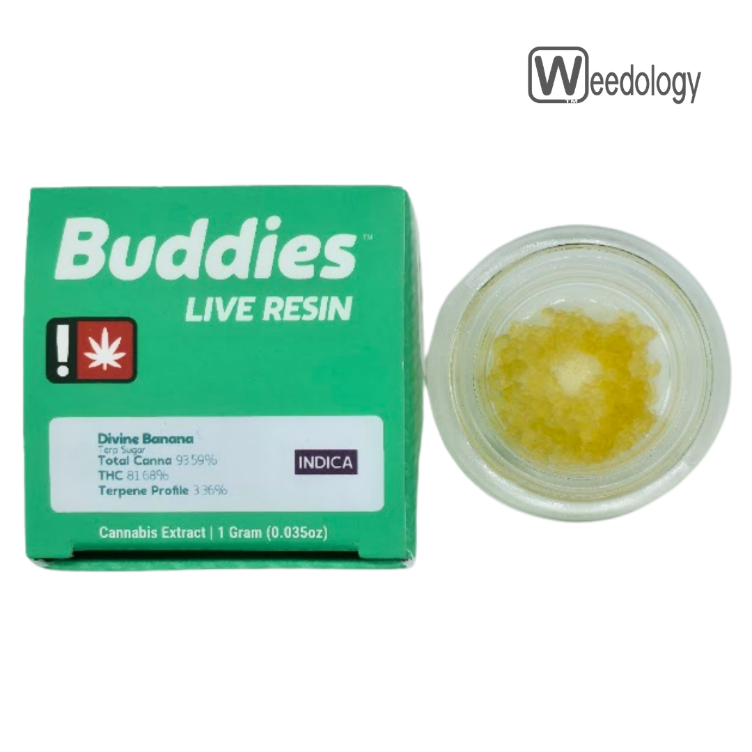 Photograph of product: Buddies 1g DIVINE BANANA LR Terp Sugar