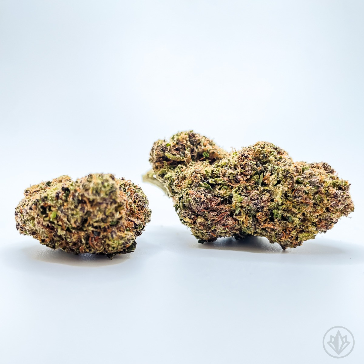 Photograph of Product: Cherry Poison - 3.5g