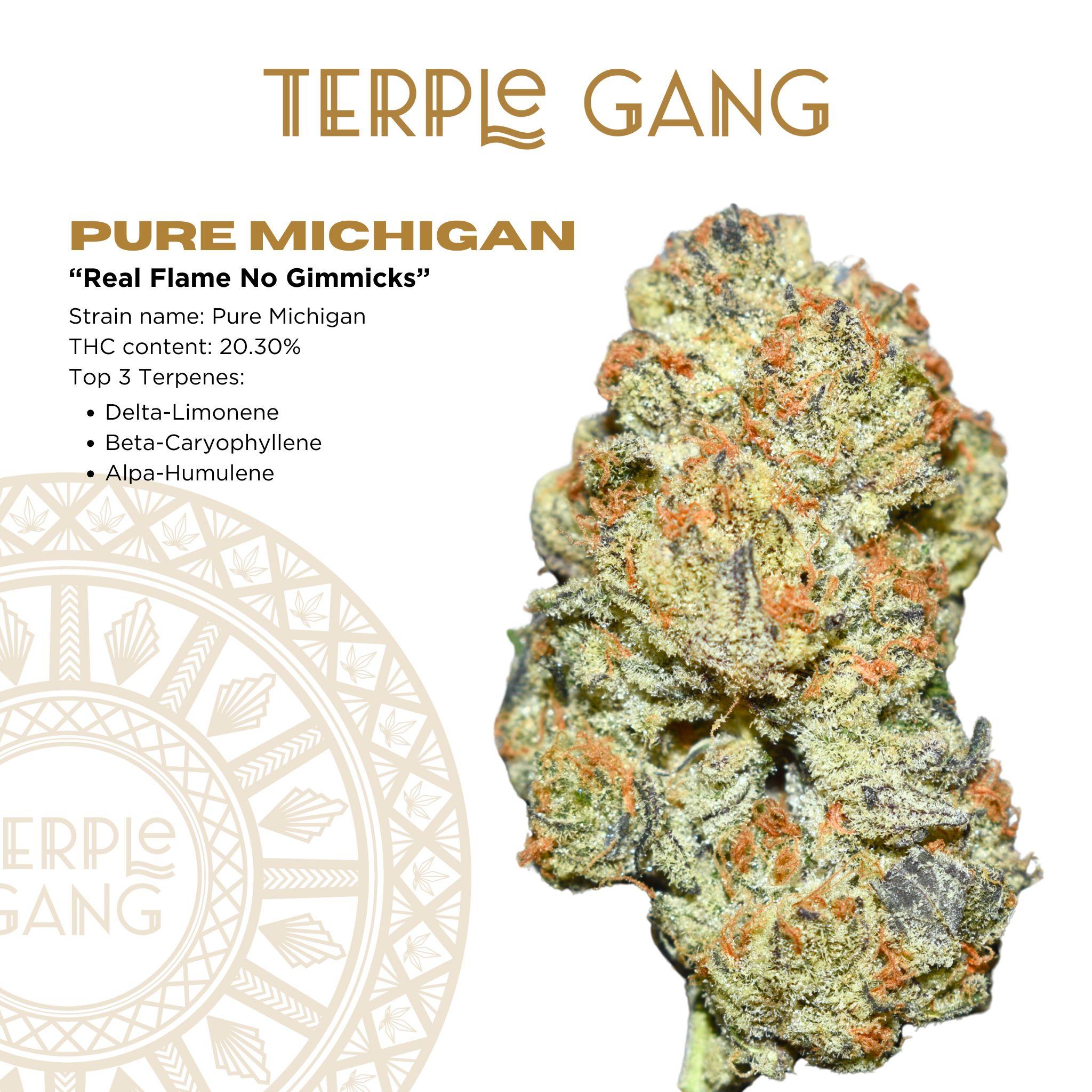 Photograph of product: Terple Gang | Pure Michigan 3.5g Pack