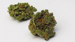 Photograph of Product: SHERBO - 4G