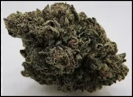 Photograph of product: iion | 3.5g Bud | Trufflecane Chimera (H)