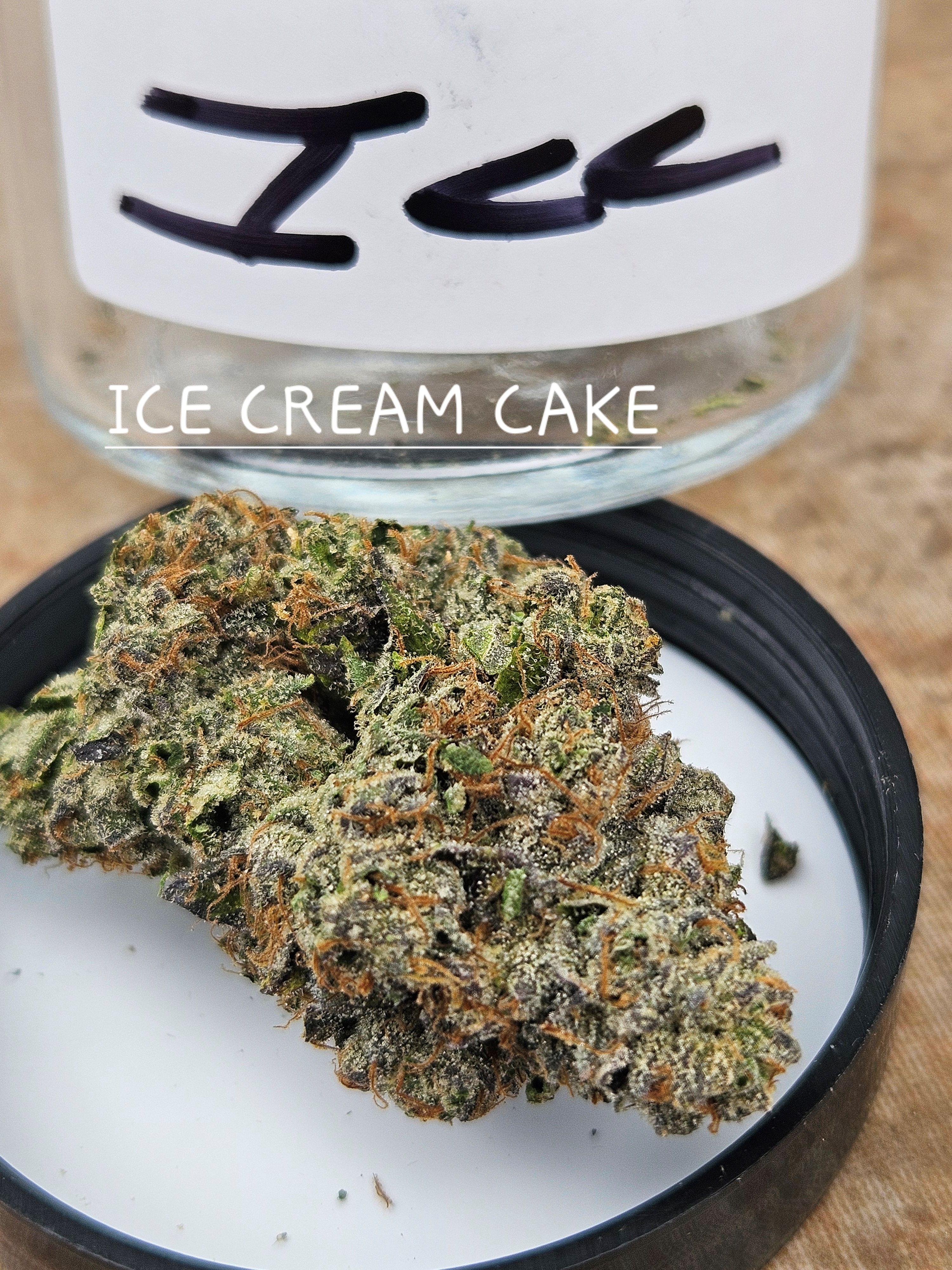 Photograph of product: GhostBudsters | Ice Cream Cake (smalls) - 28g