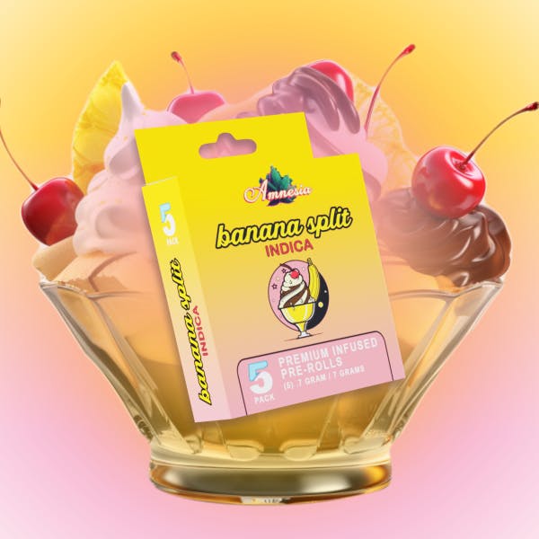 Photograph of product: AMNESIA | BANANA SPLIT | TERP INFUSED PREROLL | 5 PACK