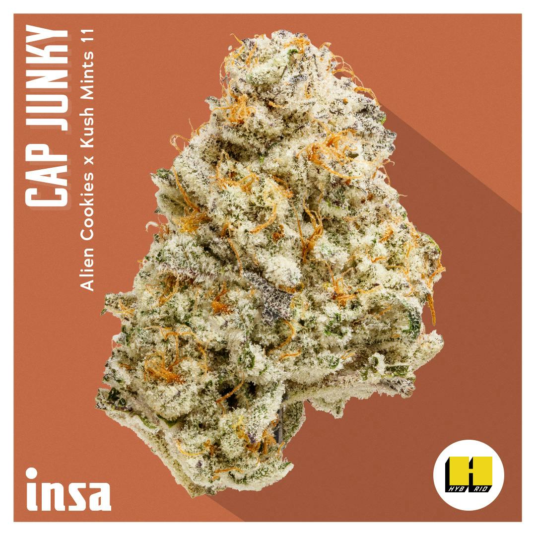 Photograph of product: I.N.S.A. | Flower | Cap Junky - 3.5g