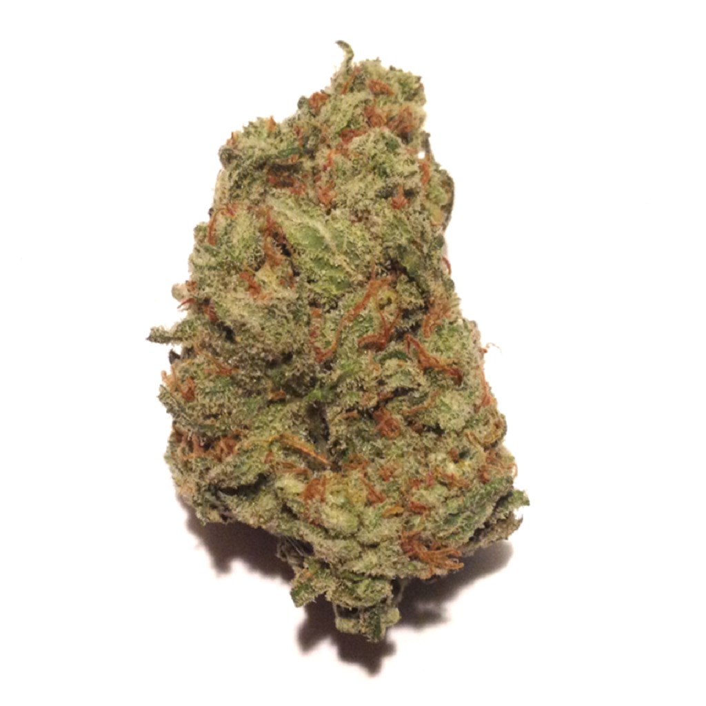 Photograph of product: J1 ~ Popcorn - 7g