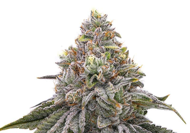 Photograph of product: Cherry - Bulk Flower - - Dank Dough