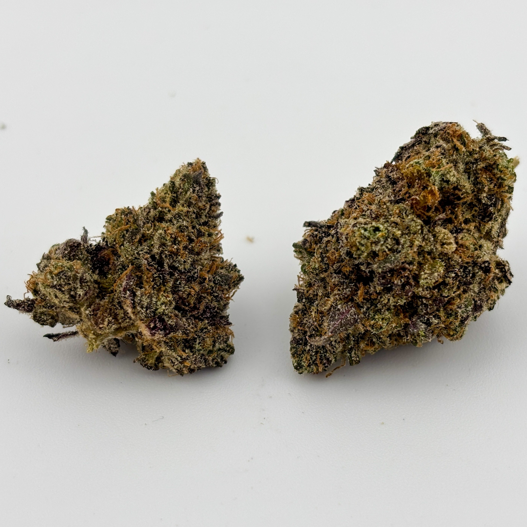 Photograph of product: Black Sheep Cultivation | Flower [S] | Peach Goblin