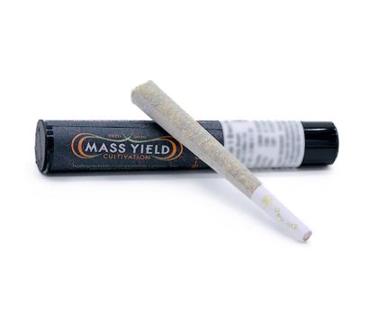 Photograph of product: Commercial St. Kush I 1g