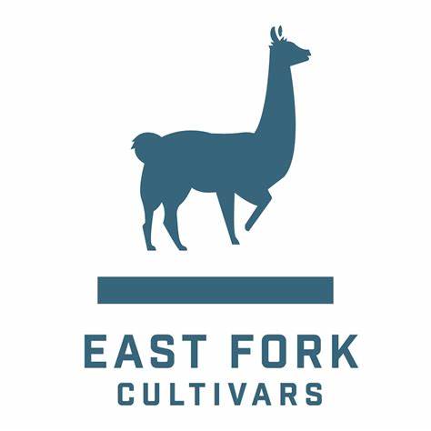 Photograph of product: East Fork Culivars | RESCUE RUB HIGH TH-oui SALVE Balm | 2oz