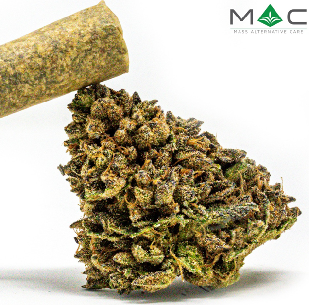 Photograph of product: Space Center - Pre-Roll - 1.0g