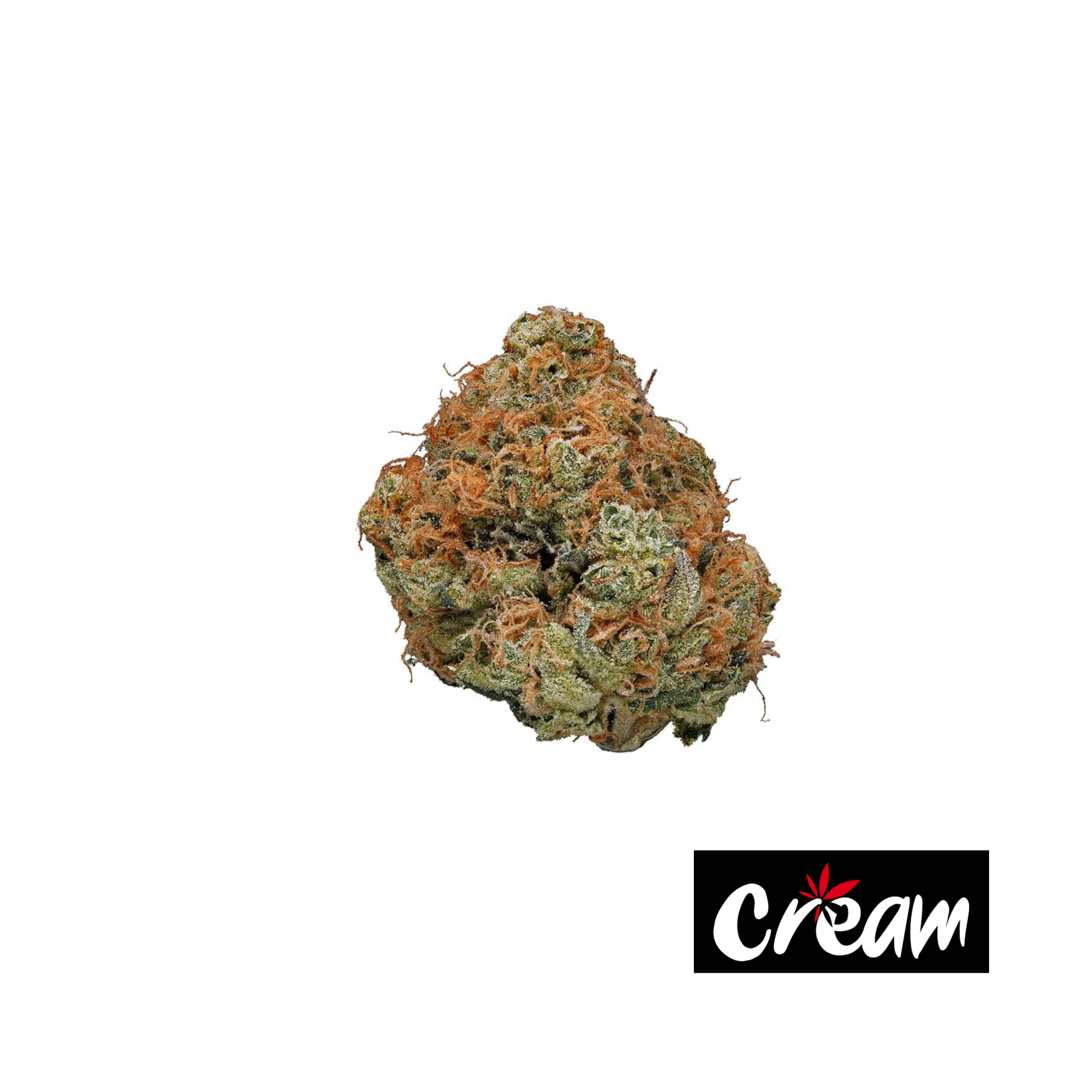Photograph of product: Tangerine Haze, Mixed Buds - 3.5g