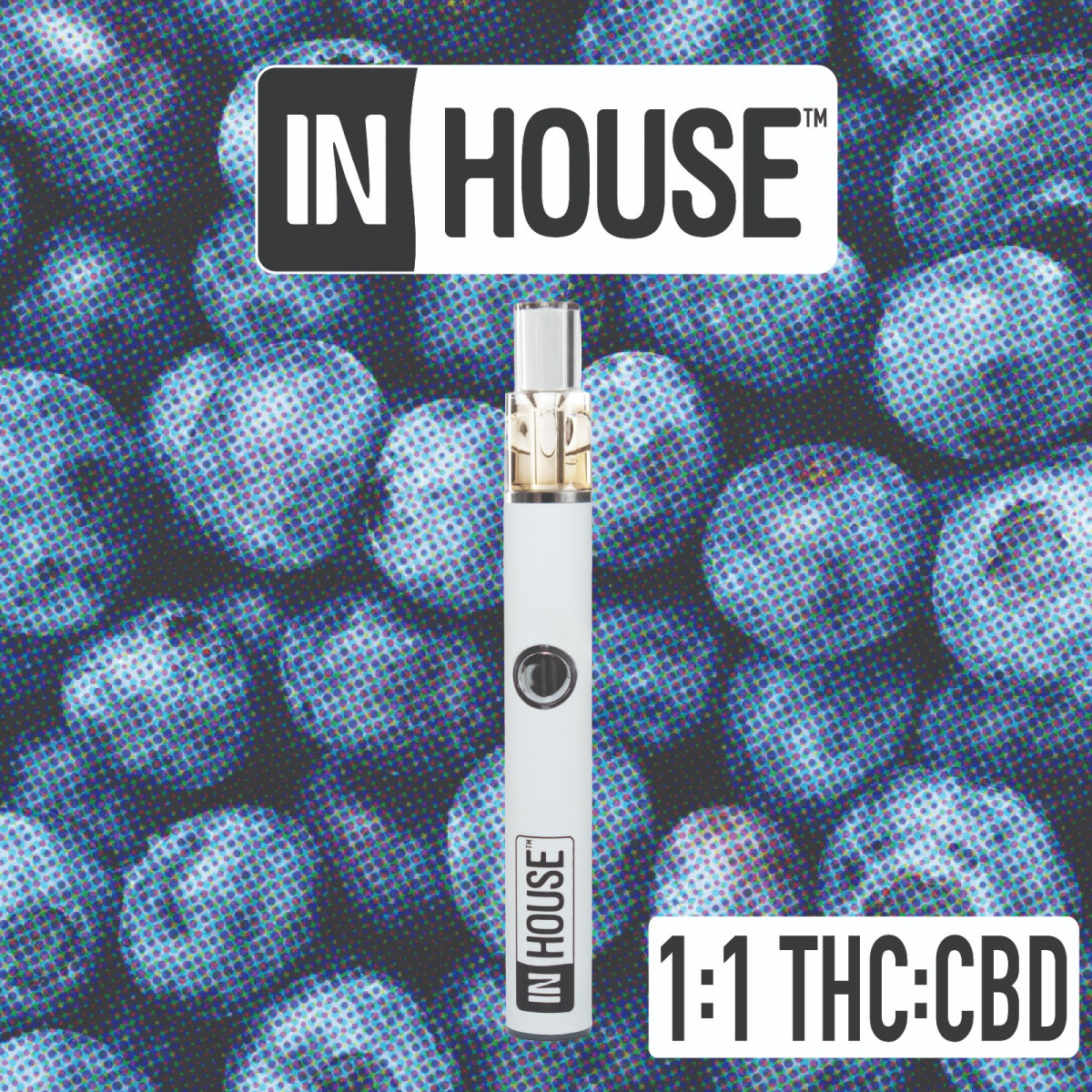 Photograph of product: Blueberry 1:1 | 0.5g AIO Disposable