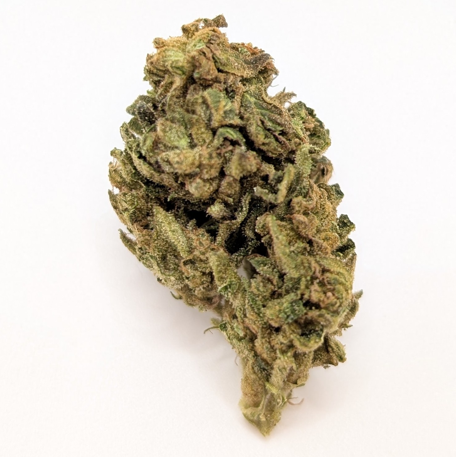 Photograph of product: GG4 x Prodigy 4g