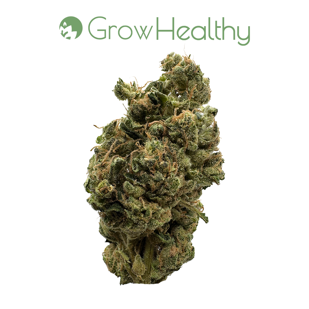 Photograph of product: New York Sour Diesel Flower - 3.5g
