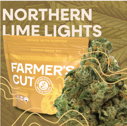 Photograph of product: Northern Lime Lights Strain I Flower 3.5g - Visualize