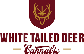Photograph of product: White Talied Deer | 3.5g | Early Purple Kush