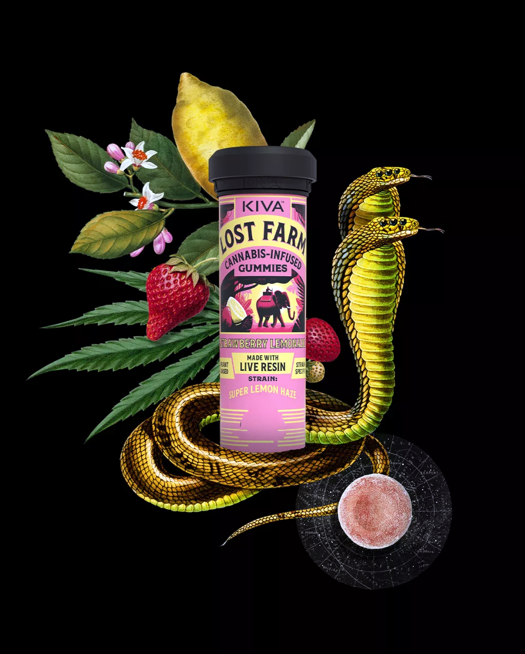Photograph of product: Strawberry Lemonade | 100mg 10pk Gummies | By Lost Farm